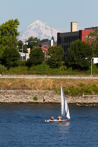 Lazy day in Portland