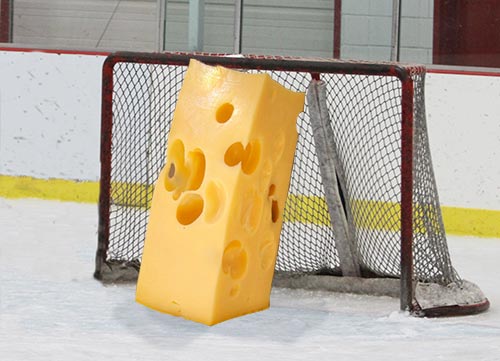 Swiss cheese in net